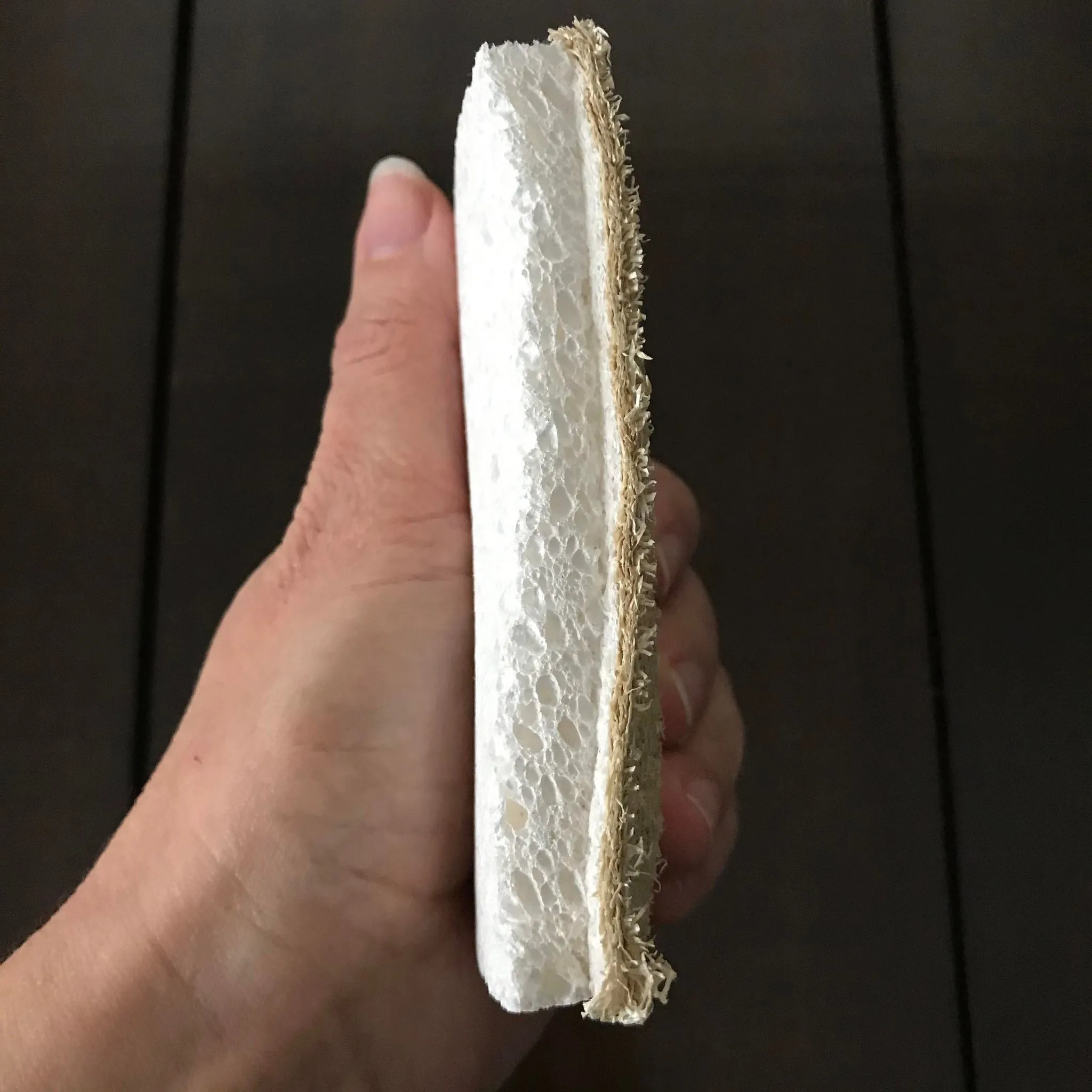 Compostable Kitchen Scrubber Sponge