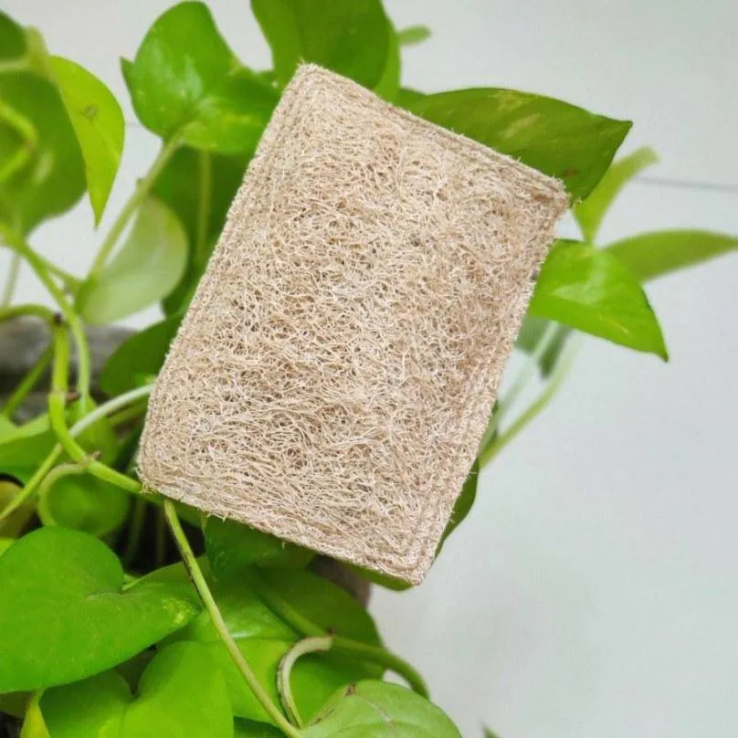 Natural Loofah Dish Scrub (Plant based Utensil Scrub)