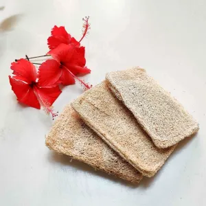 Natural Loofah Dish Scrub (Plant based Utensil Scrub)